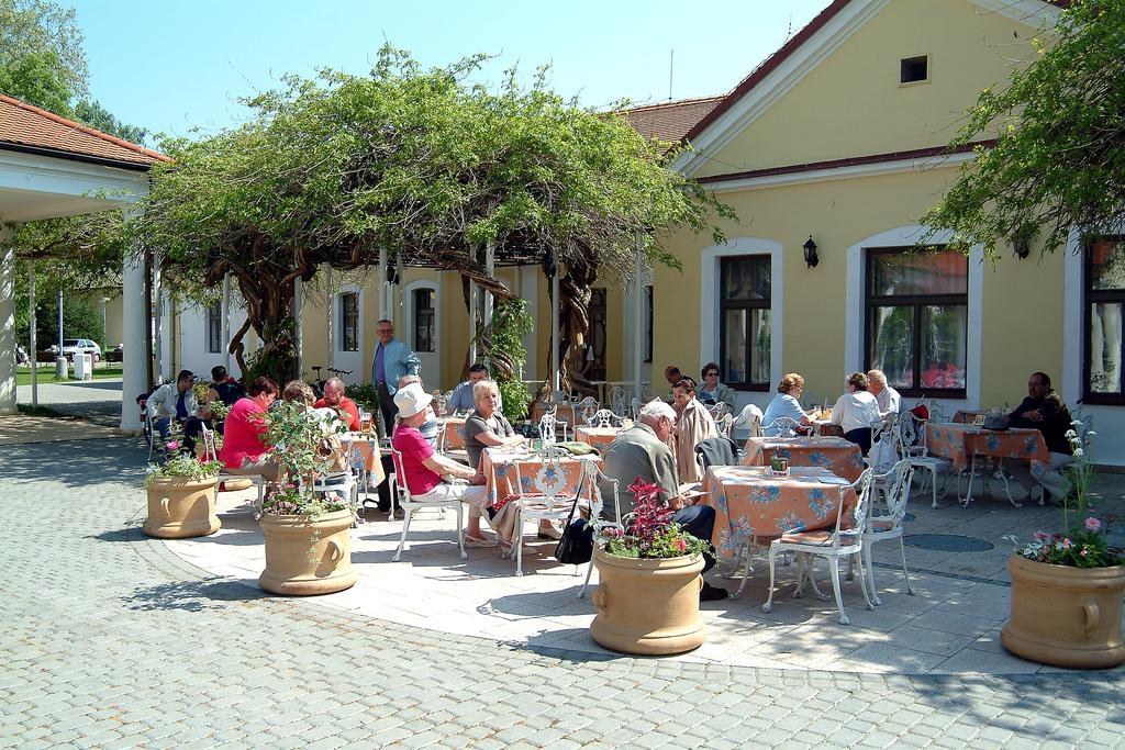 Ensana Vila Trajan 皮耶什佳尼 外观 照片